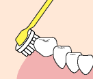 3.歯並びがデコボコしているところは、毛先を歯と歯の間の部分に。