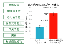 歯みがき剤によるプラーク除去