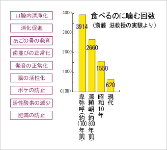 食べるのに噛む回数