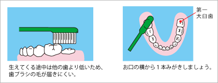 学童期 歯の磨き方