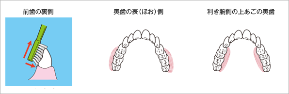 成人期セルフケアのポイント