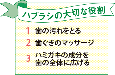 ハブラシの大切な役割 1.歯の汚れをとる 2.歯ぐきのマッサージ 3.ハミガキの成分を歯の全体に広げる