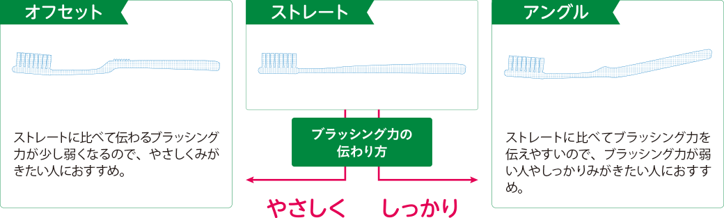 ブラッシング力の伝わり方