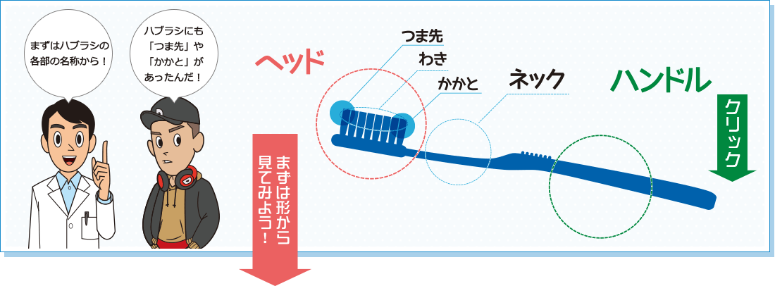 まずは形から見てみよう