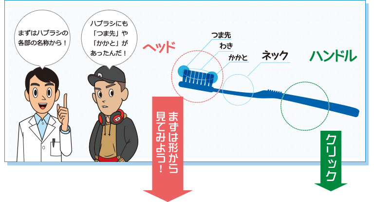 まずは形から見てみよう