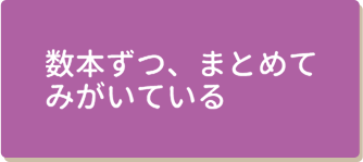 数本ずつ、まとめてみがいている