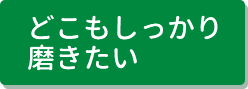 どこもしっかり磨きたい