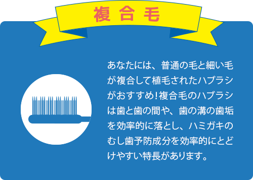 複合毛【あなたには、普通の毛と細い毛が複合して植毛されたハブラシがおすすめ！複合毛のハブラシは歯と歯の間や、歯の溝の歯垢を効率的に落とし、ハミガキのむし歯予防成分を効率的にとどけやすい特長があります。】