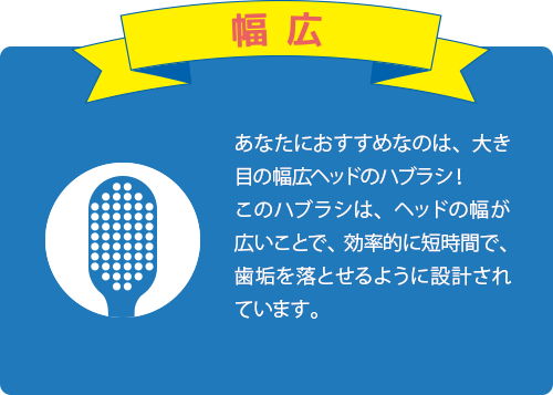 あなたにおすすめなのは、大き目の幅広ヘッドのハブラシ！このハブラシは、ヘッドの幅が広いことで、効率的に短時間で、歯垢を落とせるように設計されています。