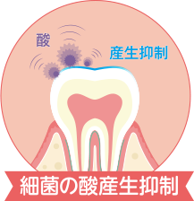 細菌の酸産製抑制