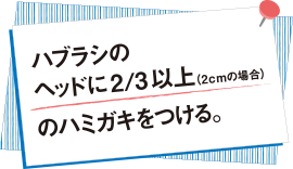 ハブラシのヘッドに2/3以上（2cmの場合）のハミガキをつける。