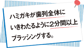 ハミガキが歯列全体にいきわたるように2分間以上ブラッシングする