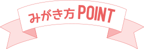 みがき方POINT