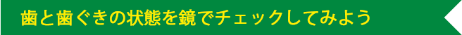 歯と歯ぐきの状態を鏡でチェックしてみよう